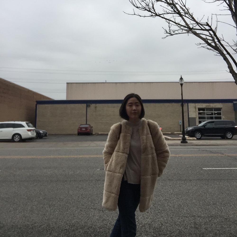 Zara Fur Coat